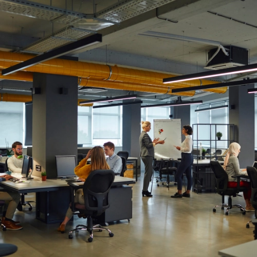 Oficinas con Rentabilidad a Largo Plazo